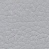 F5071020 Gris argenté