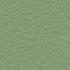 F6480011 Vert Pâle