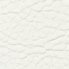 F5070646 Blanc