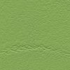 F6461723 Vert pomme