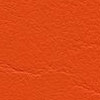 F6461556 Orange
