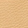 F5070635 Camel
