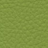 SKAI TORONTO coloris Vert olive F6471014