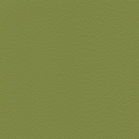 F6470014 Olive