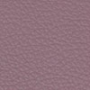 429 Lilas