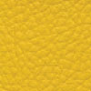 SKAI TORONTO coloris Maïs F6471013