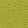 F5071017 Citron vert