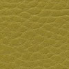 F5071125 Olive