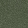 416 Olive