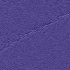 F6461356 Violet