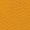 F5070636 Mangue