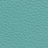 909 Menthe
