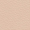 479 Skin