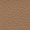 SKAI TORONTO coloris Cappuccino F6471005