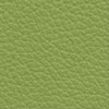 219 Vert pomme
