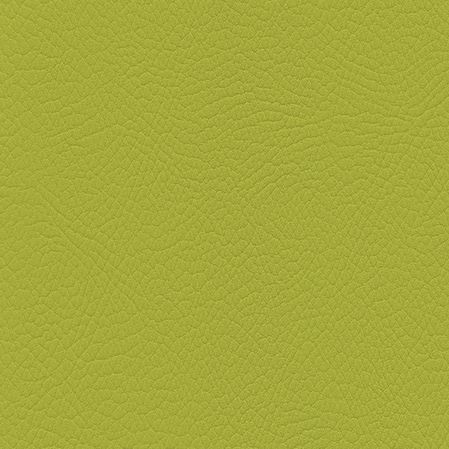 F6470013 Citron vert