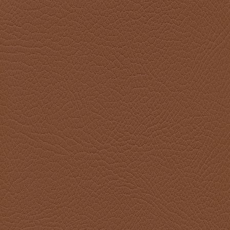 F6470008 Marron