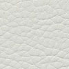 F5071019 Gris clair