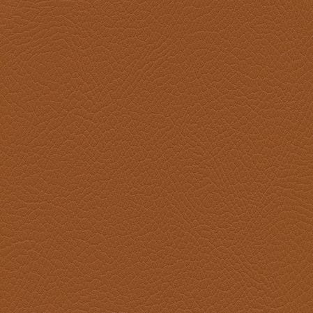 F6470007 Cognac
