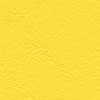 F6461343 Citronnade